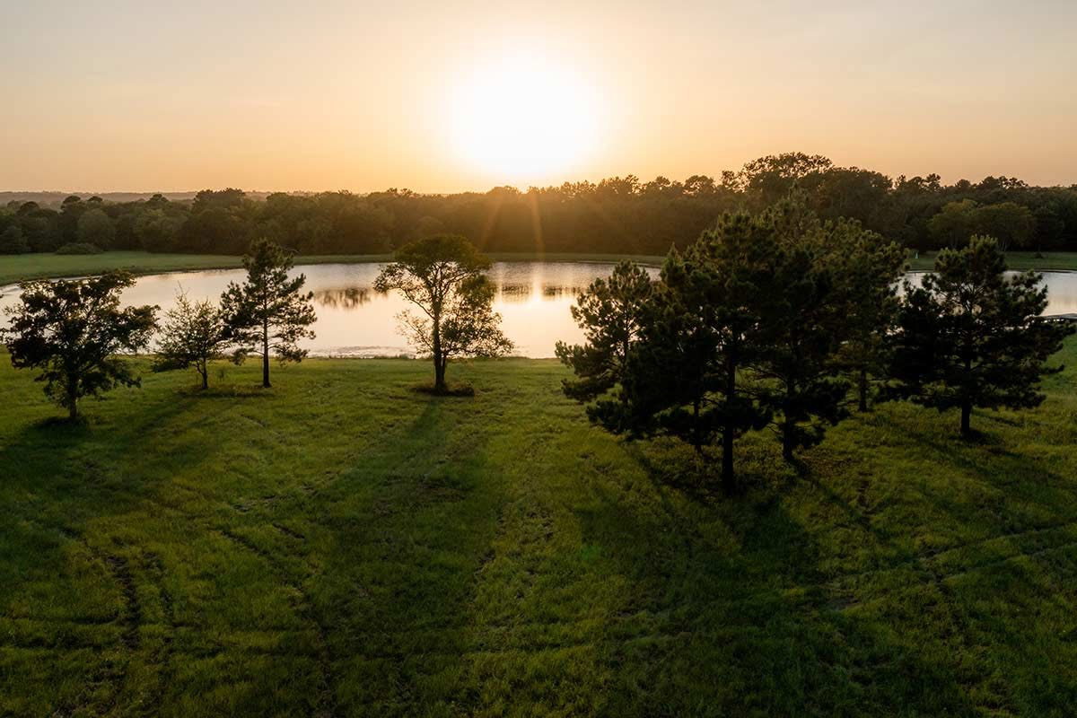 Lake and grassy shoreline surrounded by trees at sunset
