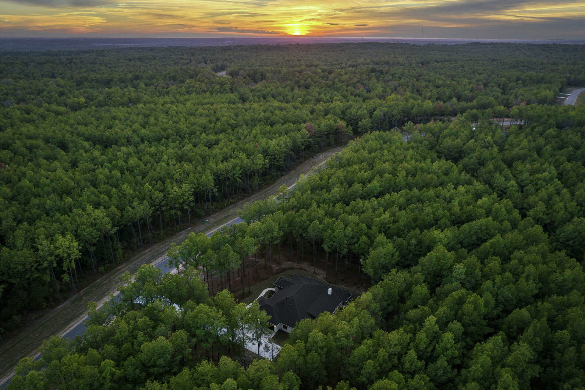 Aerial view of a home nestled among trees beside a road at sunset